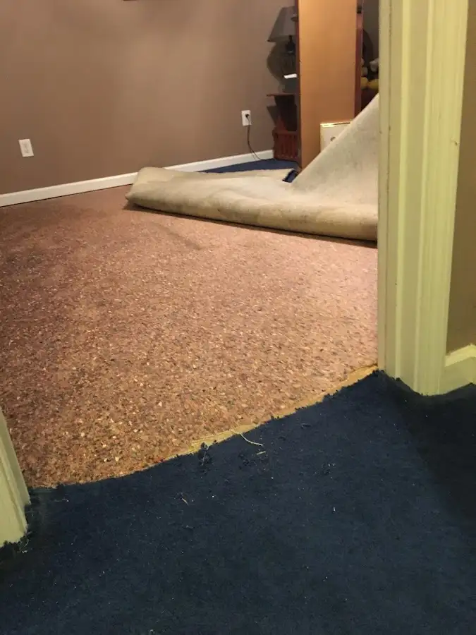 Carpet pad removal revealing water damage during Drying & Dehumidification in Lyndhurst