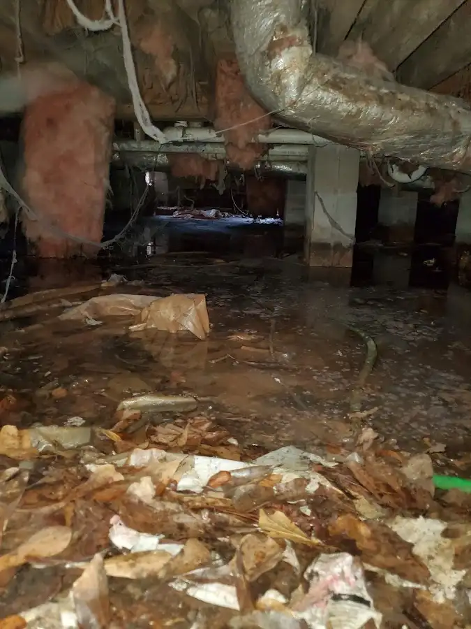 Crawl space flood assessment for Leak Detection & Repair in Lyndhurst