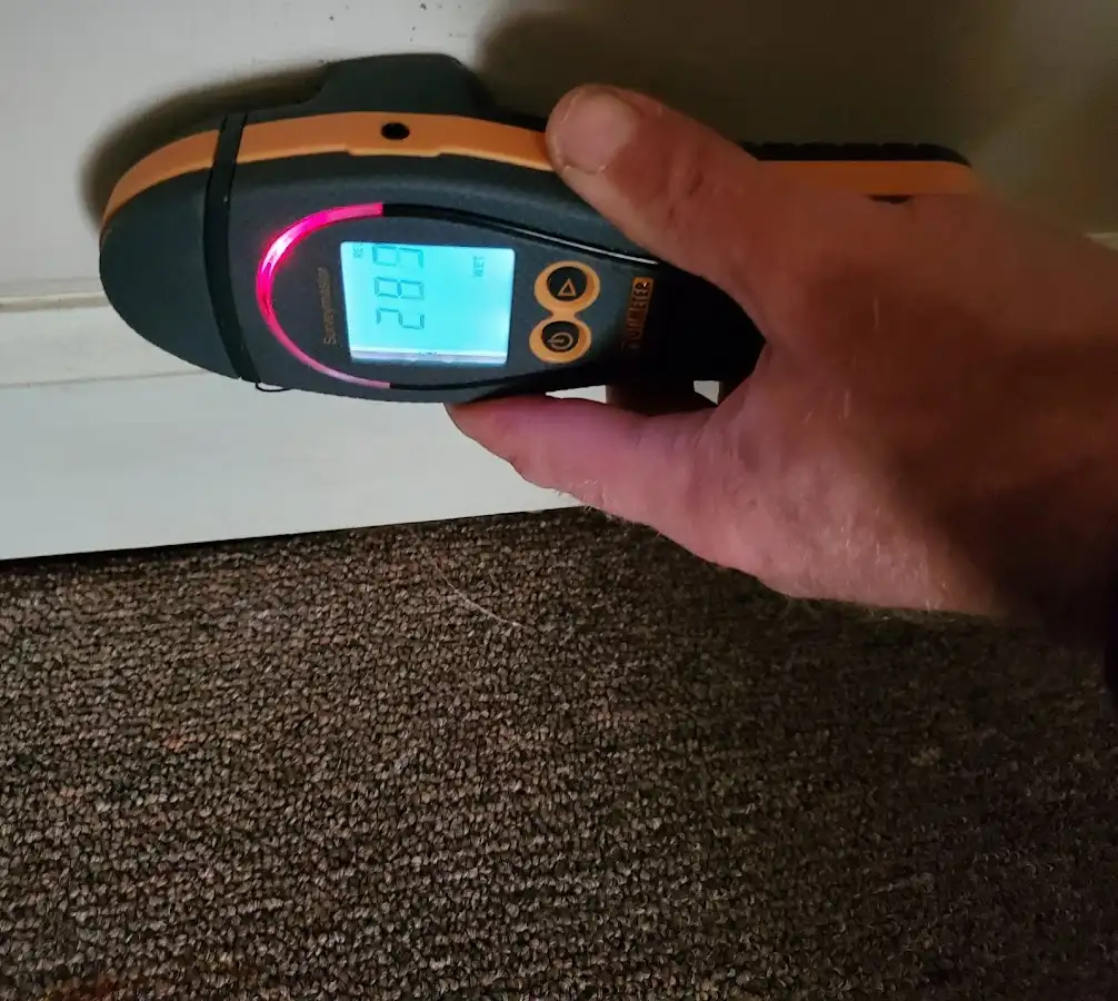 Moisture detection at baseboard during Burst Pipe Cleanup in Lyndhurst